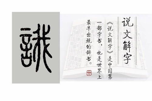 说文解字的名言;请问《说文解字注》的版本有哪些？