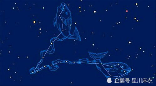 1月10 16日星座运势解析 天秤 天蝎 射手 摩羯 水瓶 双鱼座