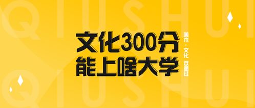 300分能上什么学校