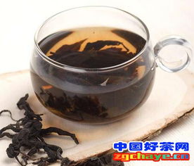 杜仲茶减肥 杜仲茶能减肥吗