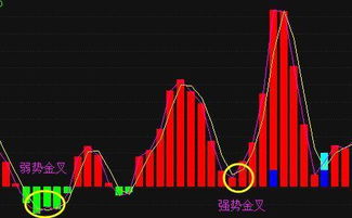 有没有炒股多年一直赚钱的散户？