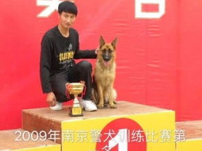 图 上海训犬师学校学习在哪里宠物老师培训基地在哪 上海宠物服务 