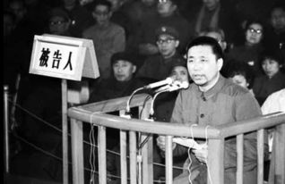 1980年审判 四人帮 现场 