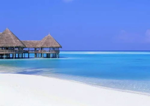 旅游马尔代夫英文介绍词（Discover the Beauty of Maldives）