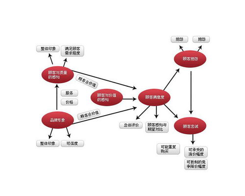 品牌市场调研怎么做