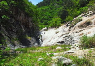 阳春三月 麻城竟然有这么多好玩的地方,地址票价全在这里 