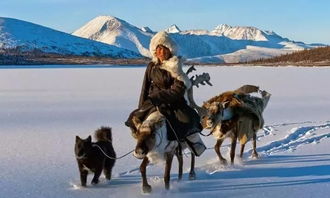 蒙古稀有的原生犬