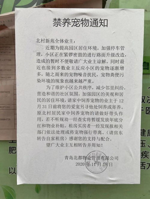 上了热搜 青岛一小区禁养宠物,网友炸锅了丨评论区见