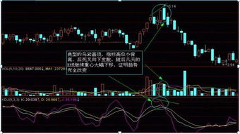 有什么关于教你怎么炒股看K线图的书还有金融方面的，知道的说下谢谢！！！