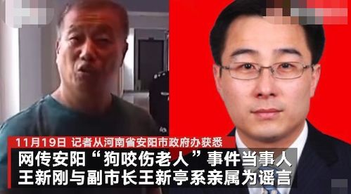 安阳市政府办回应狗咬老人事件 狗咬老人当事人与副市长是亲属系谣言