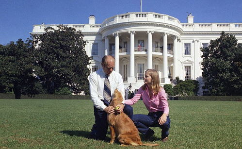 太有爱了 美国总统的第一宠物们 