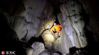 厉害了 中法探险家广西河池洞穴发现珍稀水生物