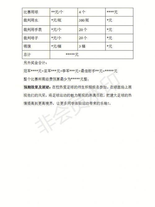 企划方案模板图片(企划案简洁版)