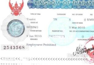 泰国工作签证泰国工作签好办吗（泰国工作签证条件）