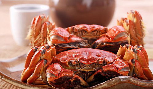 金秋吃蟹时节到,4个秘诀挑选螃蟹,膘肥更味美