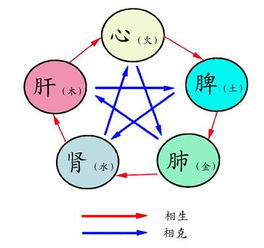 养肺同时养脾胃的五行学说理论是什么