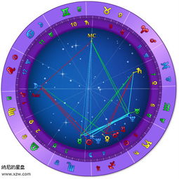 请高手帮我星盘分析 