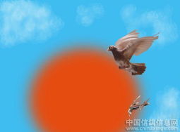 太空飞翔 