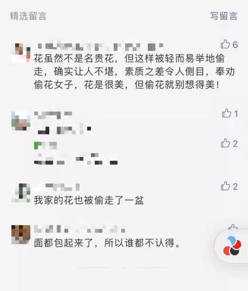 欲钱买天网恢恢是什么肖