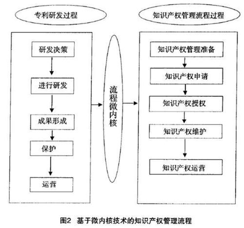 管理模式的知识产权管理模式 