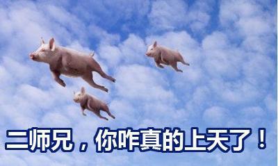 好消息 中央储备冻猪肉拟投放一万吨,猪肉涨价你被波及到了吗