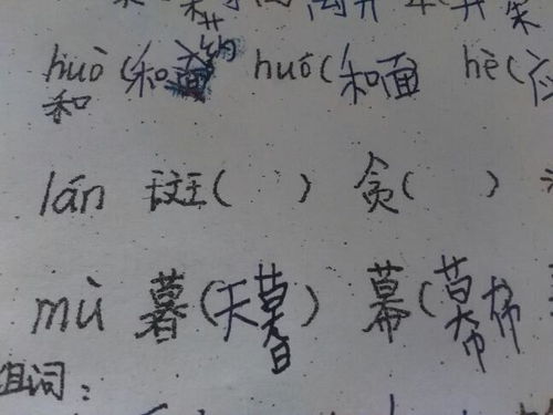 lan的同音字组词 