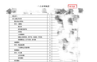 我们这印花税是网上申报了，科目应怎么做，是借方管理费用贷方应交税金吗