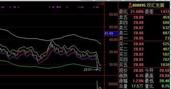 我能准确的判断大盘明天的走势