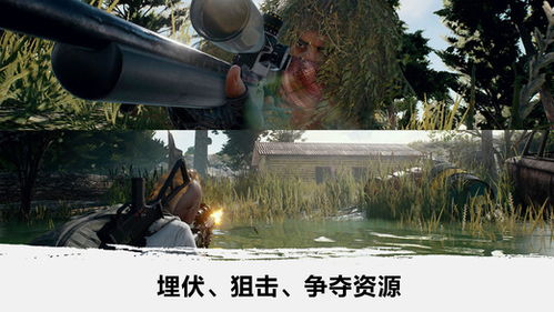 下载越南版的吃鸡手游安装pubg怎么下载