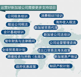 从未运营的新加坡公司如何办理注销？