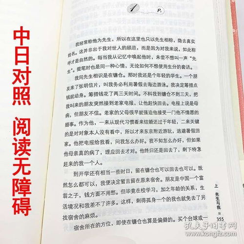 正版 心夏目漱石日文小说书籍中日对照日语读物日语阅读书日语自学入门教材日语阅读技巧读物日语入门自学零基础新版标准日本语书