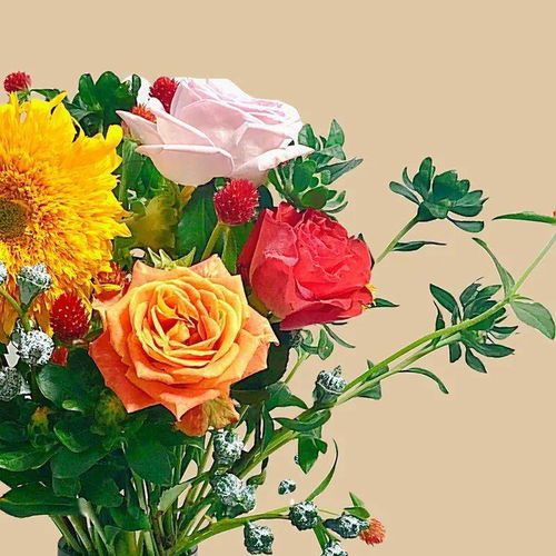 最常见的十大鲜切花材，向日葵上榜，第一被誉为花中皇后