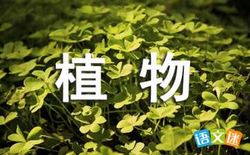 三年级写植物作文范文