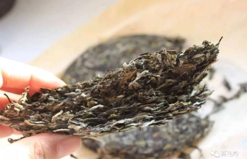 茶知识丨当您收藏的普洱茶发霉了,该怎么处理呢 