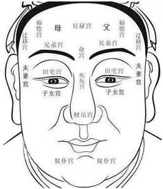 面相十二宫 人生的成败吉凶