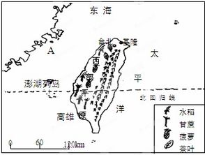 臺灣省的城市人口主要分布在什么地方