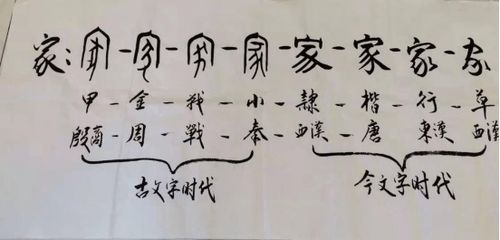 济南文促会社区书法学院 新年第一讲 著名古文字学家戴月先生传承千年书法之美