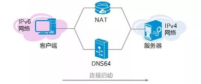 虚拟主机如何获取ipv4地址,云服务器的ip与ipv4地址耗尽有什么关系?