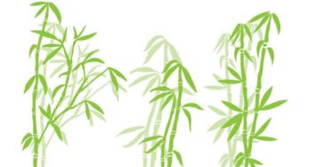 赞美关于竹的诗句
