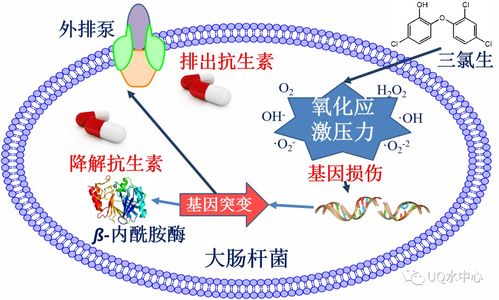 内生细菌生防作用及机理简述