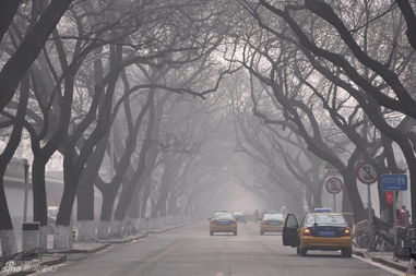 北京雾霾持续 能见度和空气质量较差 