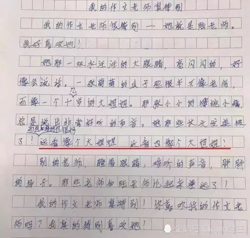 厉害了我的妈妈作文500字