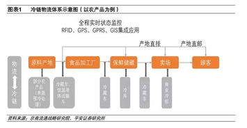 冷链物流 巨头抢占千亿冷运版图