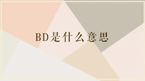 bd啥意思 BD是什么意思