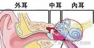 突然天旋地转 这是怎么了呢