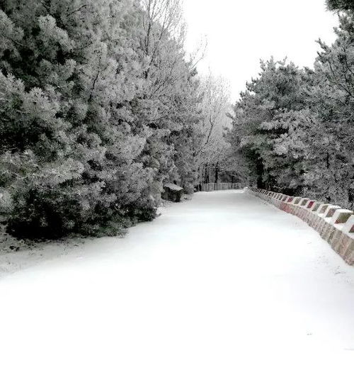 雪中管头山 风景如画