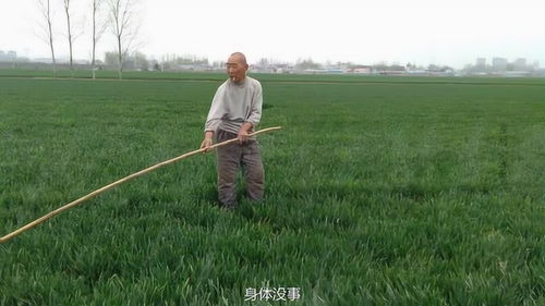 大爷要浇地了,外甥女专门来帮忙 