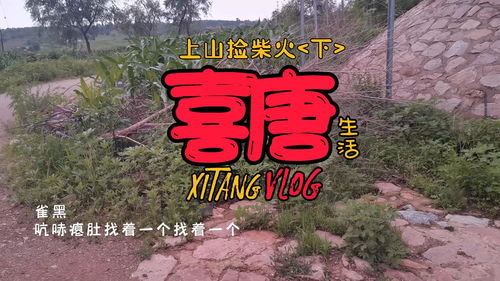 上山走错路之,下山发现新风景,还是没忍住啊 