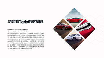 新能源汽车特斯拉tesla营销策划方案ppt模版