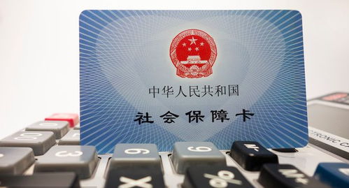 梅州社保缴费标准2022(广东梅州市养老保险费)